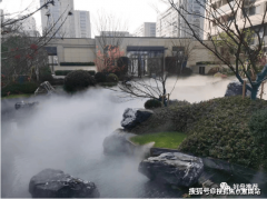 常休闲散步的选择多样